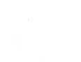 Flying Pig Adventures